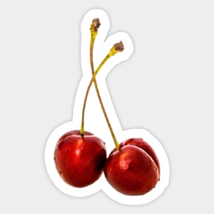 CHERRIES Sticker